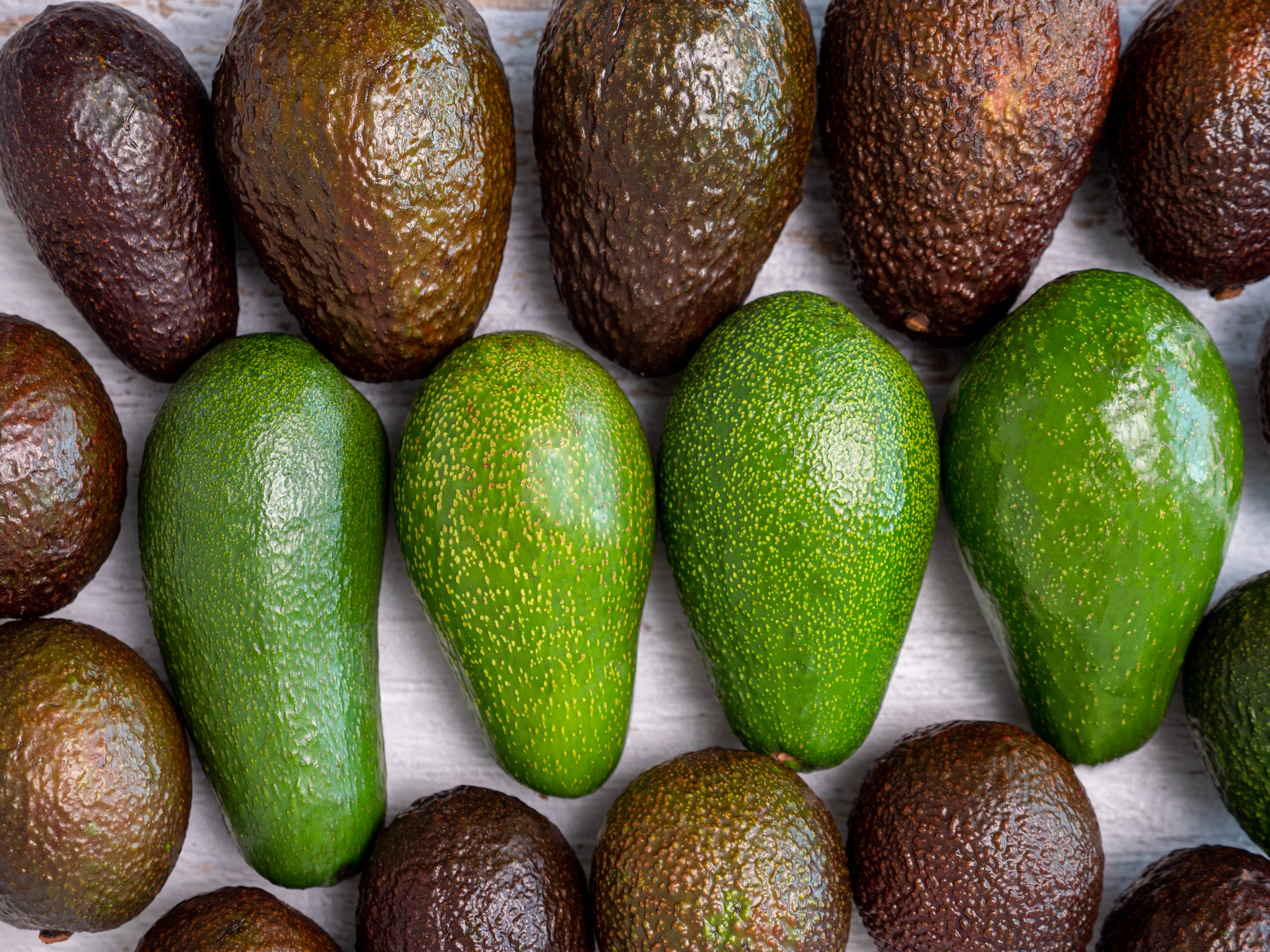 Fruit Services Collective øker kjølelagerkapasiteten med avanserte pushback-reoler