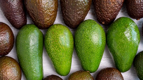 Fruit Service Collective øker kjølelagerkapasiteten med avanserte pushback-reoler